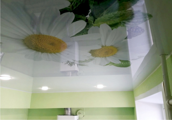 Натяжные потолки Double Vision