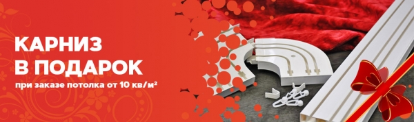 Акция "Карниз в подарок"